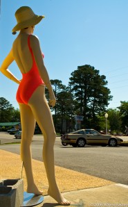 Looking back on summer