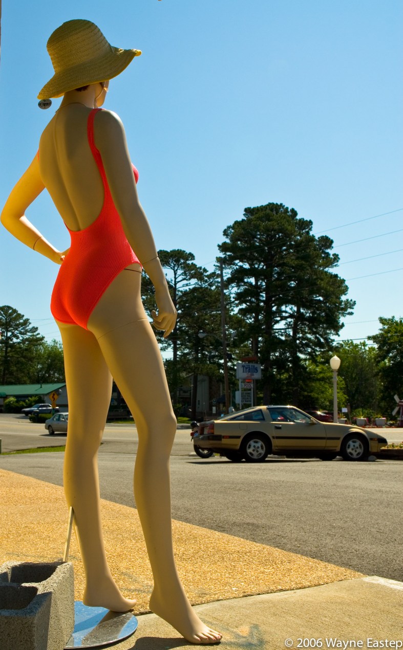 Looking back on summer