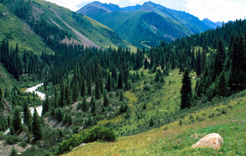 Bayankol River Valley, Tien Shan mountains, Kazakhstan, mountains,