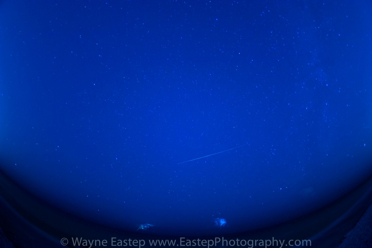 Perseid Meteor Shower,Photograph