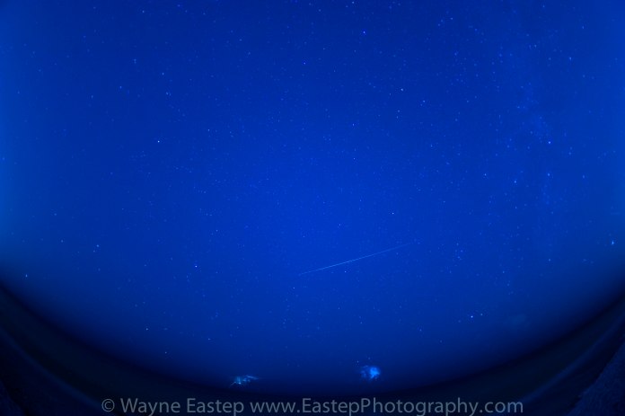 Perseid Meteor Shower,Photograph
