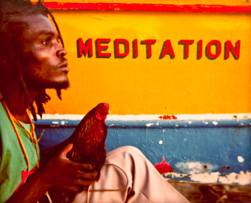 Polaroid, Photograph, Image, Fine Art, St. Lucia, Interior Designers, Interior Design, Decor, Decorative Print,