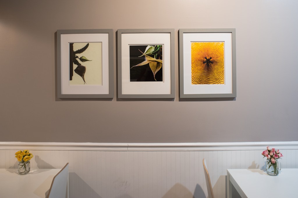 Fine Art Prints, Decor Prints, Interior Design, Photo, Photographs, Photographic Art, Photographic Exhibition