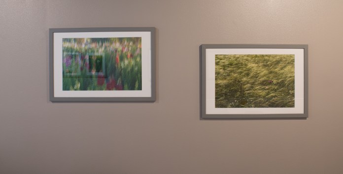 Fine Art Prints, Decor Prints, Interior Design, Photo, Photographs, Photographic Art, Photographic Exhibition