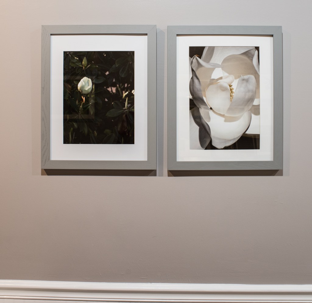 Fine Art Prints, Decor Prints, Interior Design, Photo, Photographs, Photographic Art, Photographic Exhibition