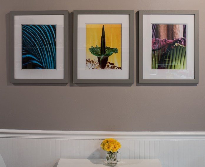 Fine Art Prints, Decor Prints, Interior Design, Photo, Photographs, Photographic Art, Photographic Exhibition