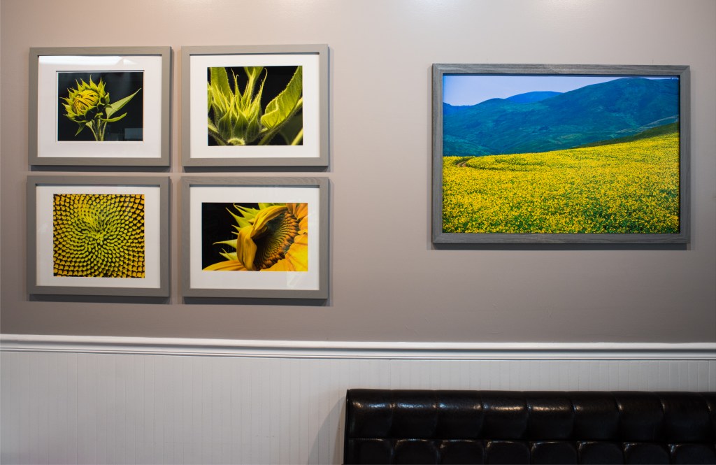 Fine Art Prints, Decor Prints, Interior Design, Photo, Photographs, Photographic Art, Photographic Exhibition