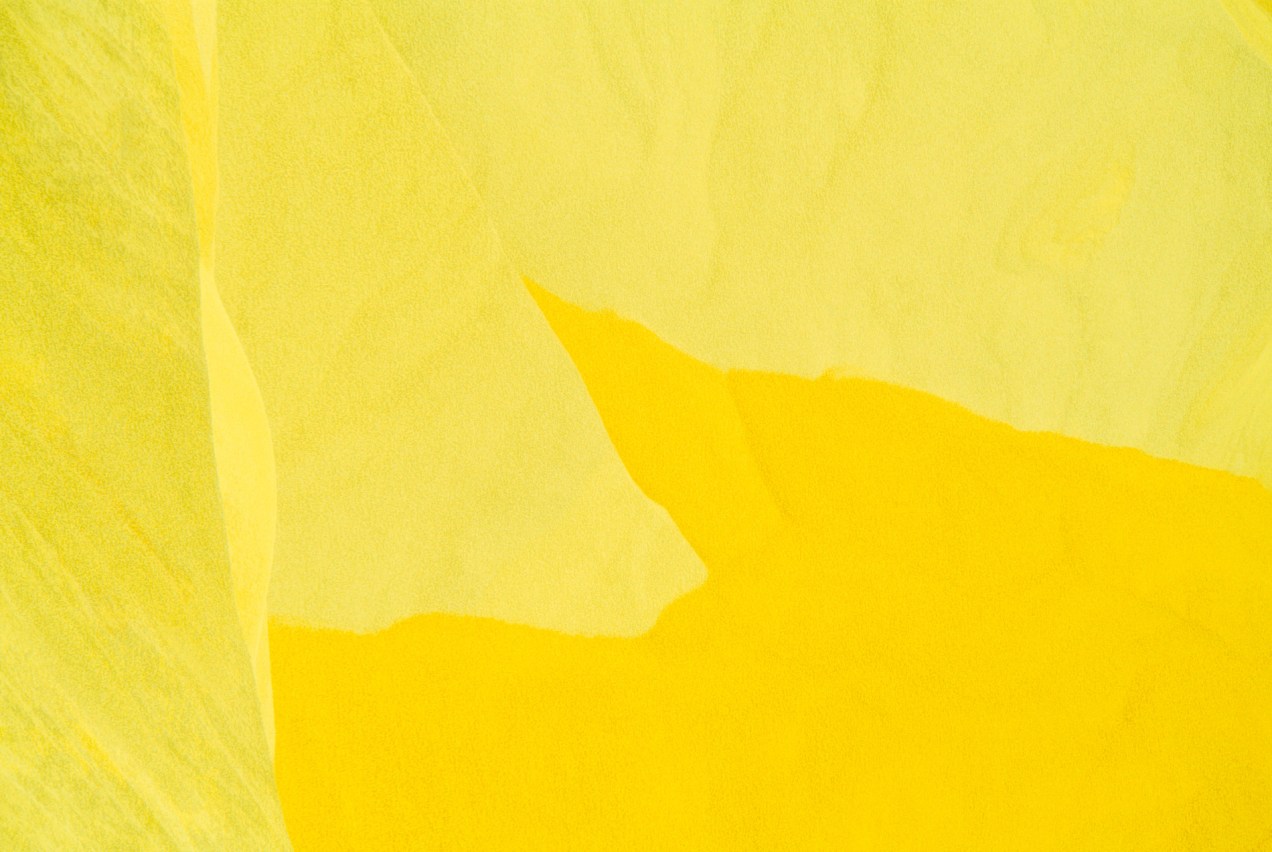 abstract, color, yellow, graphic, photographic image