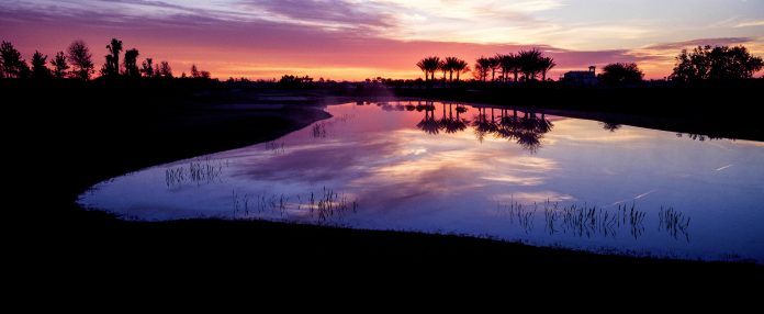 Original photographic image used for interior decor