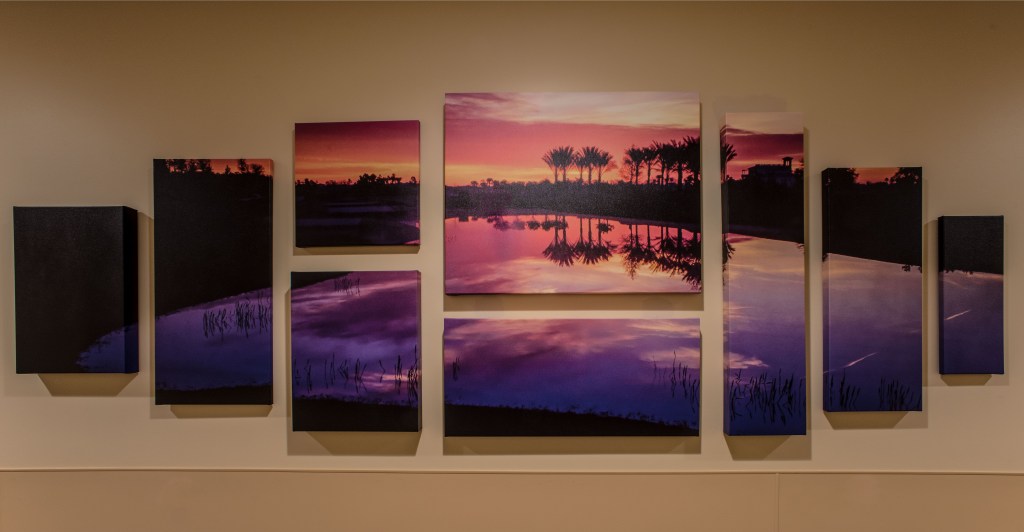 Photographic art display in medical center.