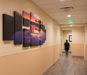 Photographic art display in medical center.