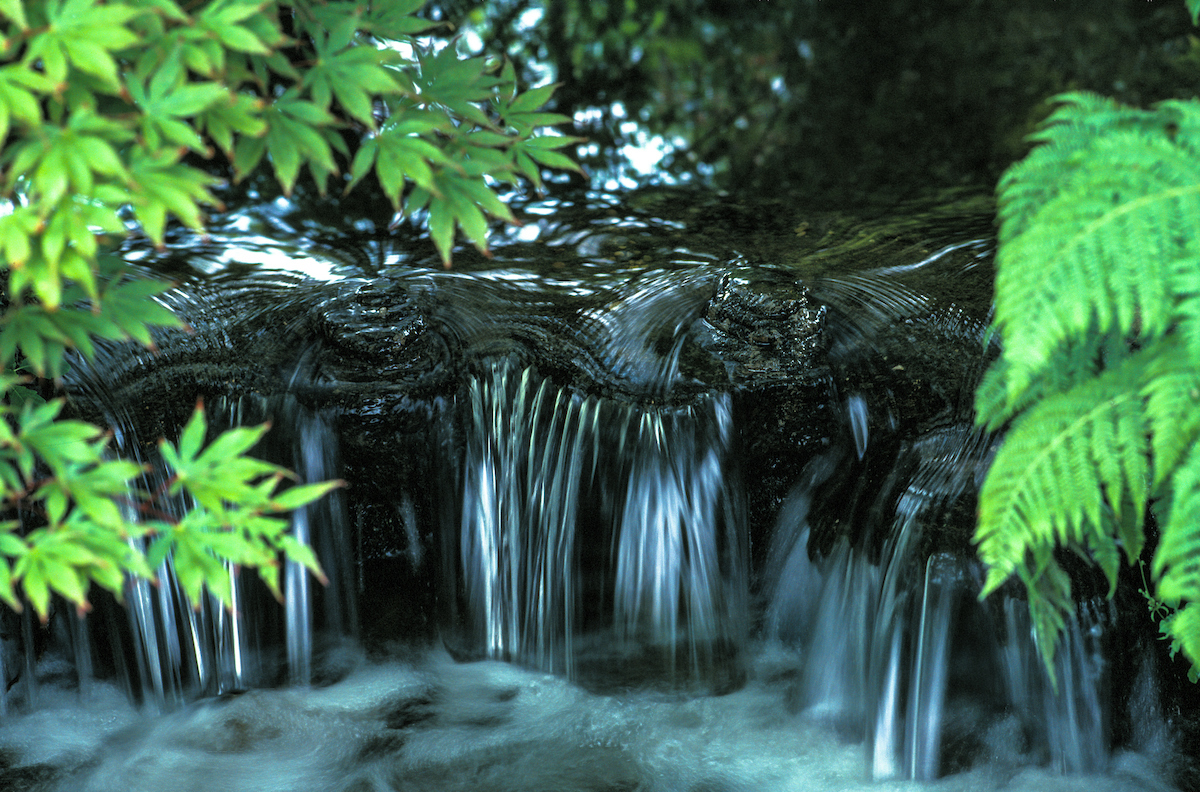 Garden, Serenity, Water, Japan, moss garden, Muromachi Period, Zen Buddhist, stroll garden, meditation garden,