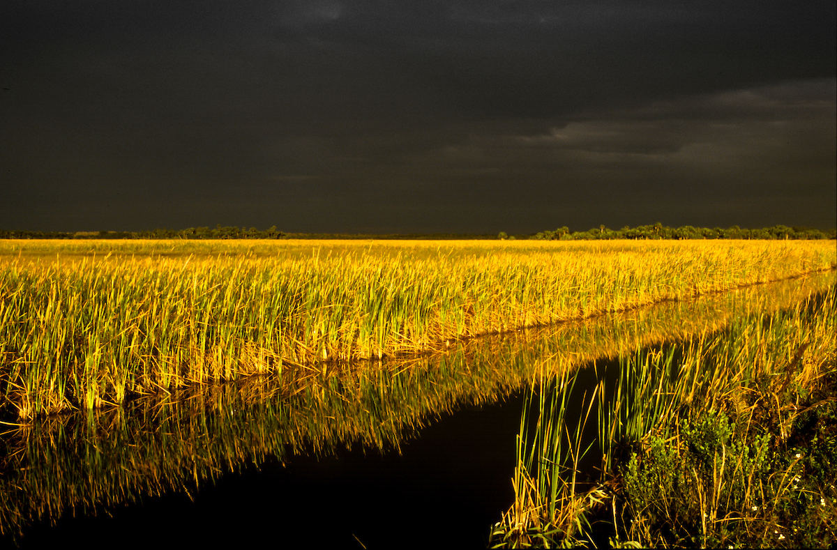 Everglades, Water, Golden-hour, Nature, Art, Photography, Photographic-Art