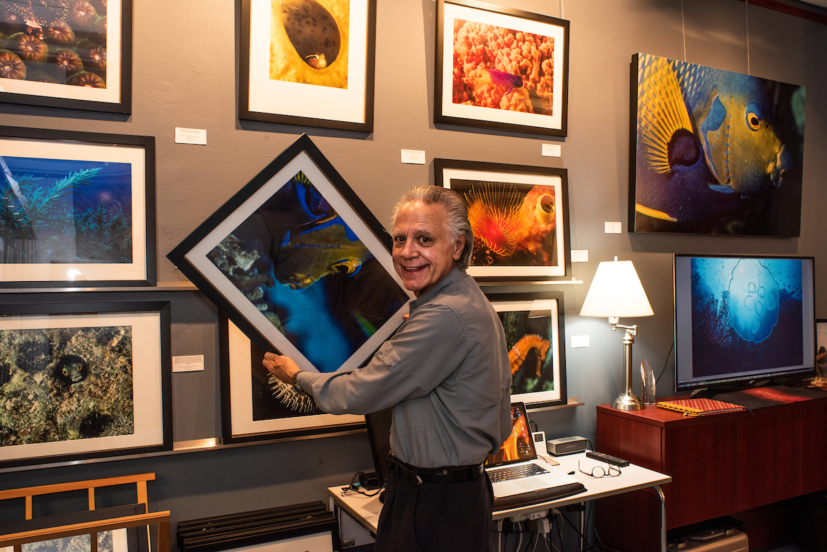 Art Gallery, Sarasota, Florida, Art, Photo, Photography, Art prints, Photographer, Holiday Gifts, Sarasota-Florida