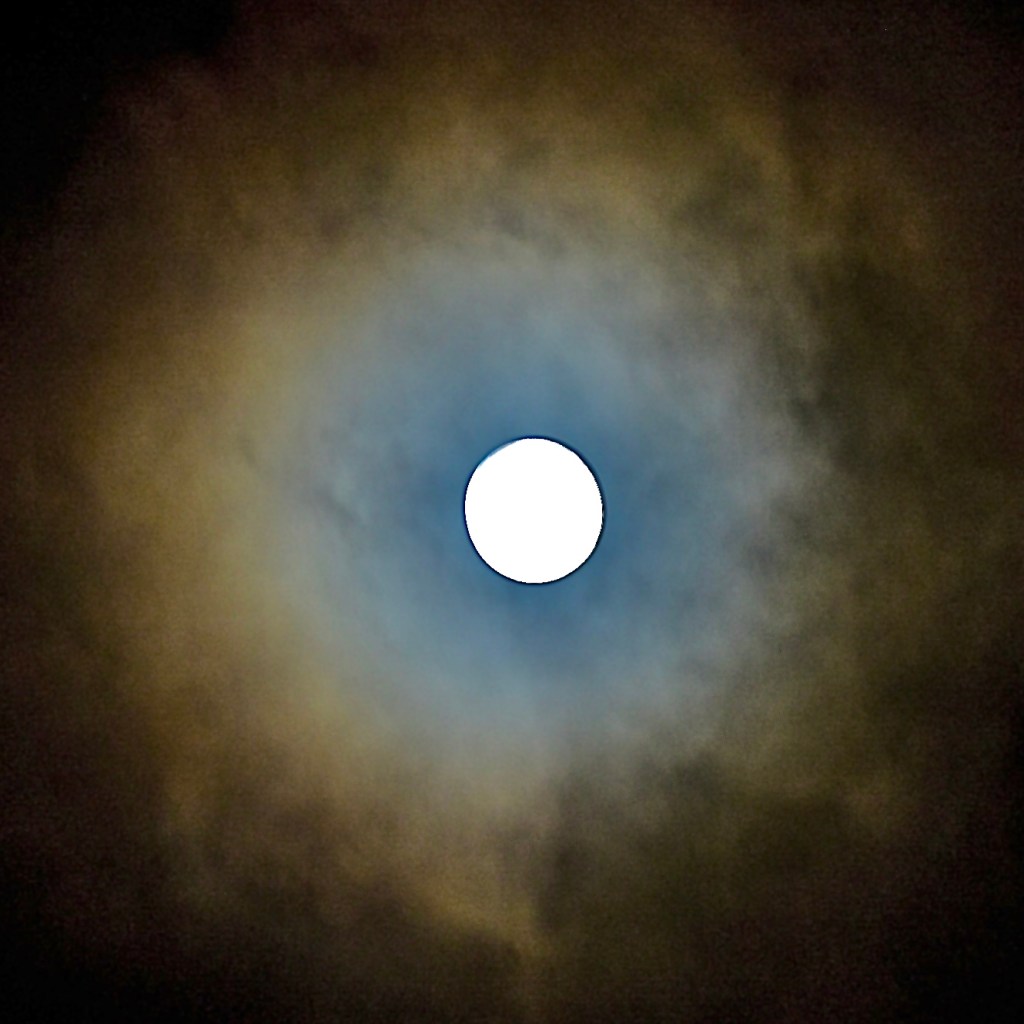 full moon, Beaver Moon, Blood Moon