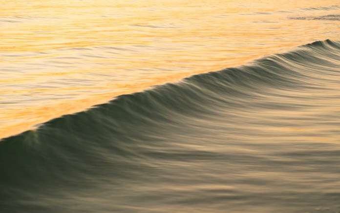 Wave in the Gulf of Mexico near Sarasota.