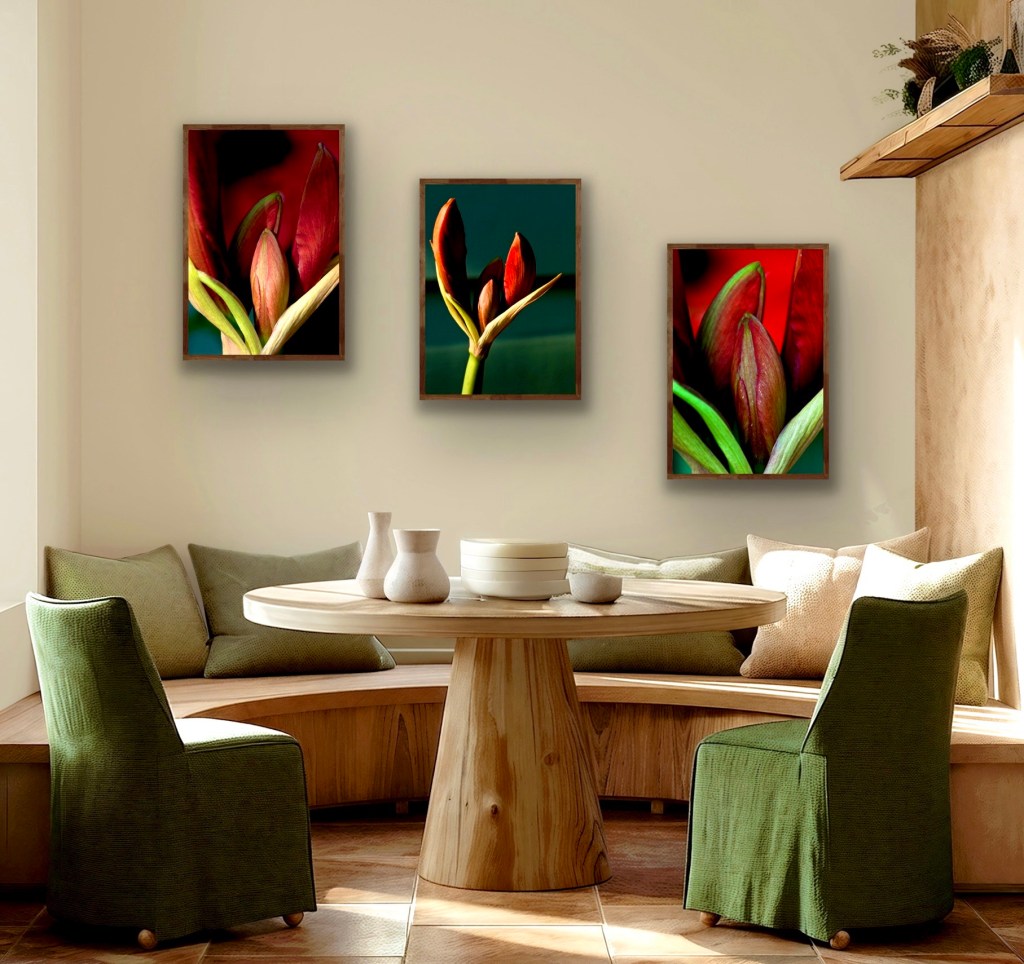 Room with triptych of Amaryllis buds