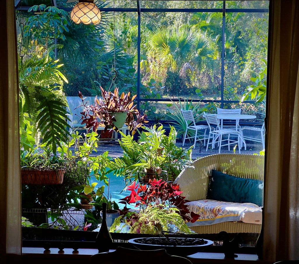 Sunshine in the early morning